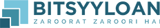 Bitsyyloan - Loan Company Website