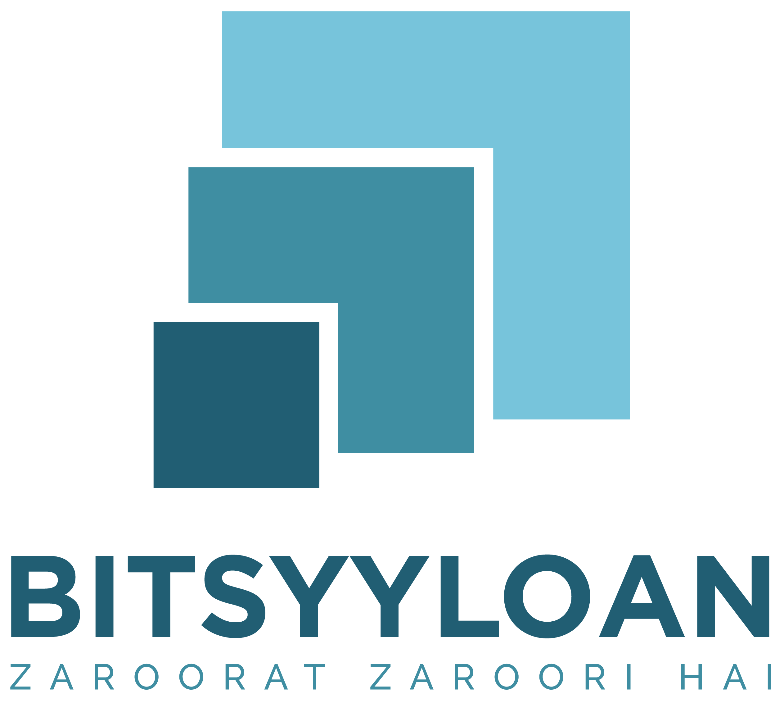 Bitsyyloan - Loan Company Website